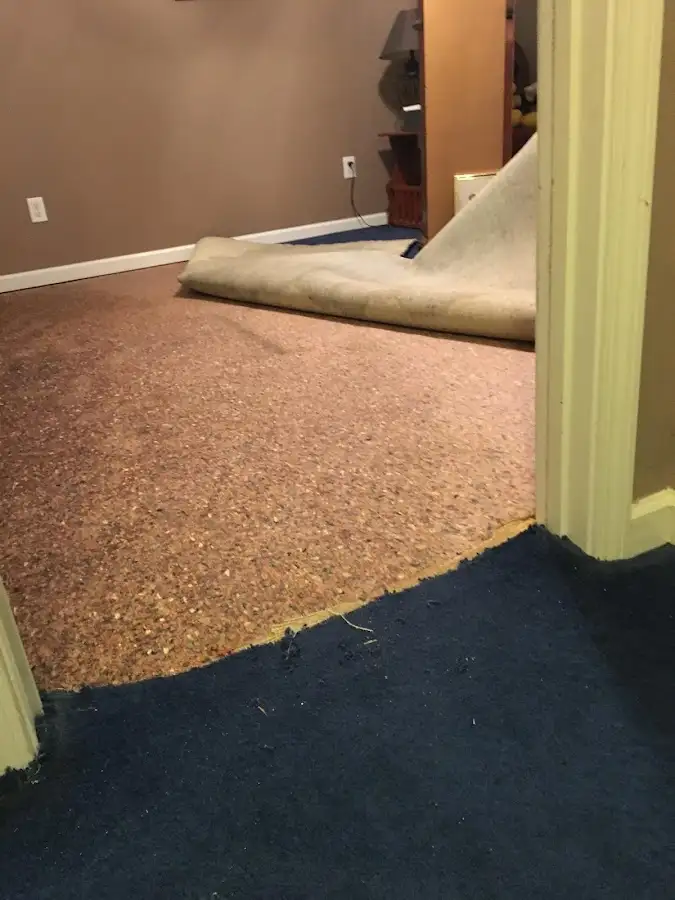 Carpet pad removal revealing water damage during Drying & Dehumidification in Stallings